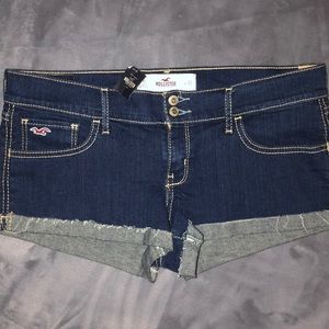 NWT Hollister Shorts
